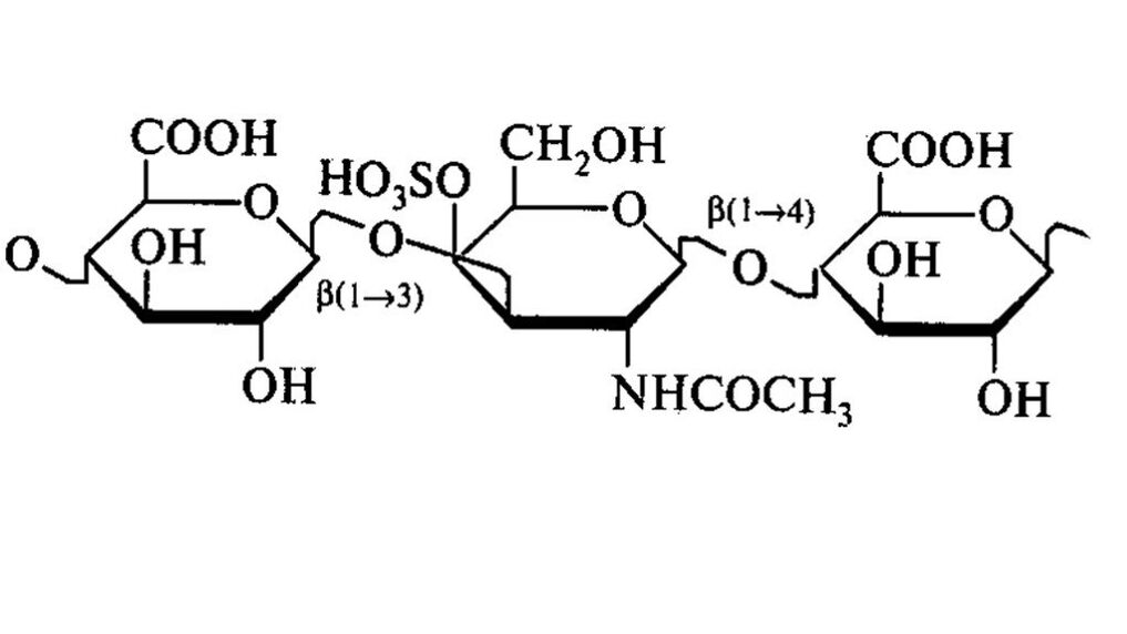 Chondroitiin OstyHealthis